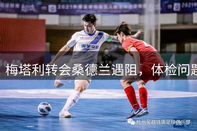 梅塔利转会桑德兰遇阻，体检问题引发不确定性