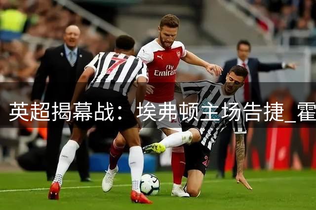 英超揭幕战：埃弗顿主场告捷 霍尔巴里破门立首功